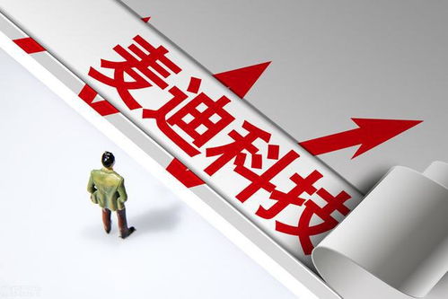 A股國產軟件低估值龍頭公司一覽（附知識產權服務領域名單）